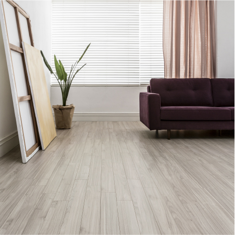 세라 (강마루) 이미지